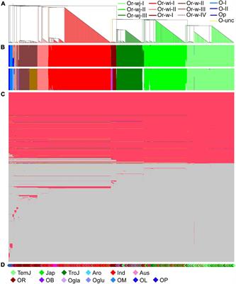 The History and Diversity of Rice Domestication as Resolved From 1464 Complete Plastid Genomes